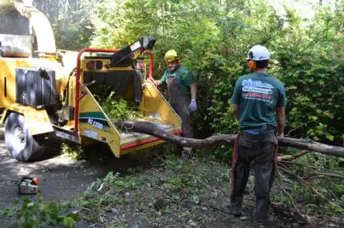 tree services Sherman